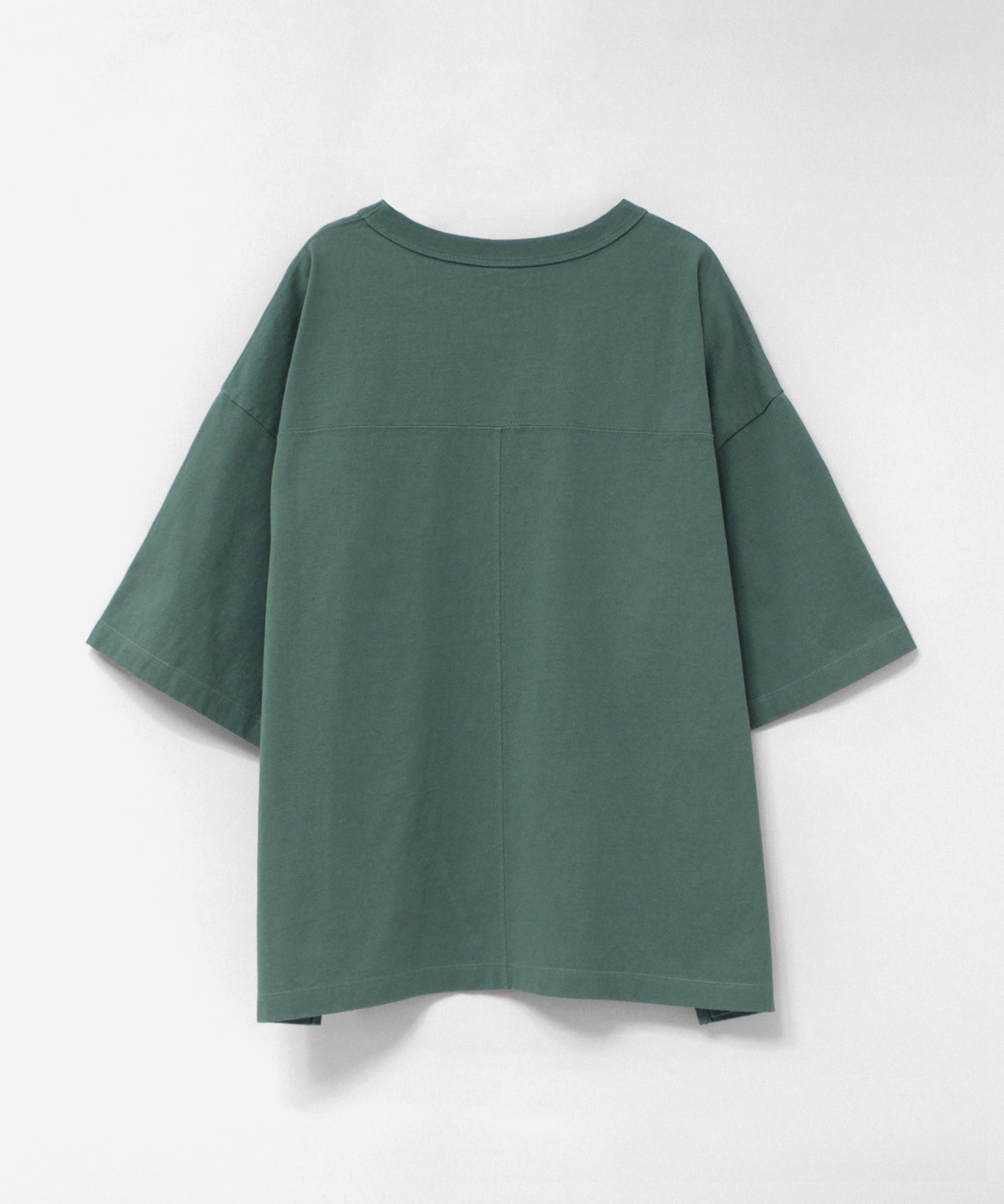 イングリッシュアイビー