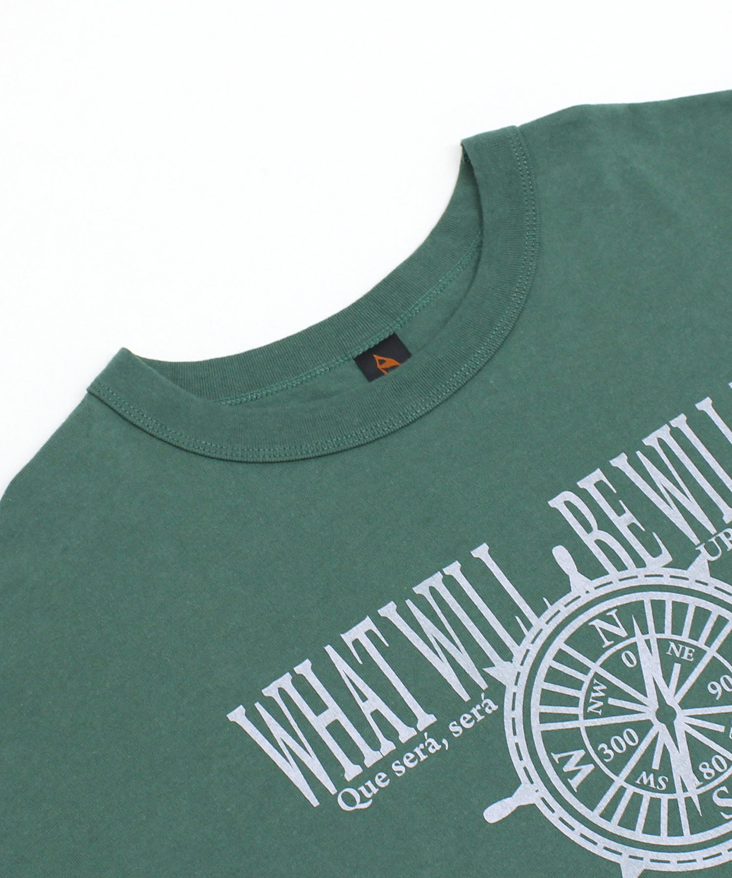 イングリッシュアイビー