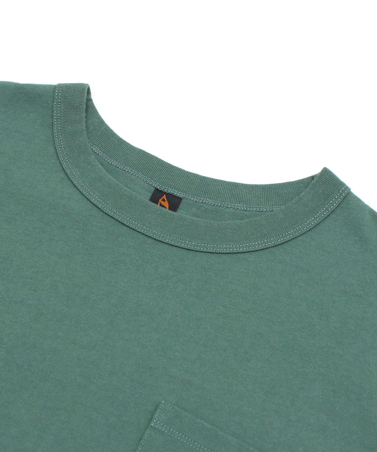 イングリッシュアイビー