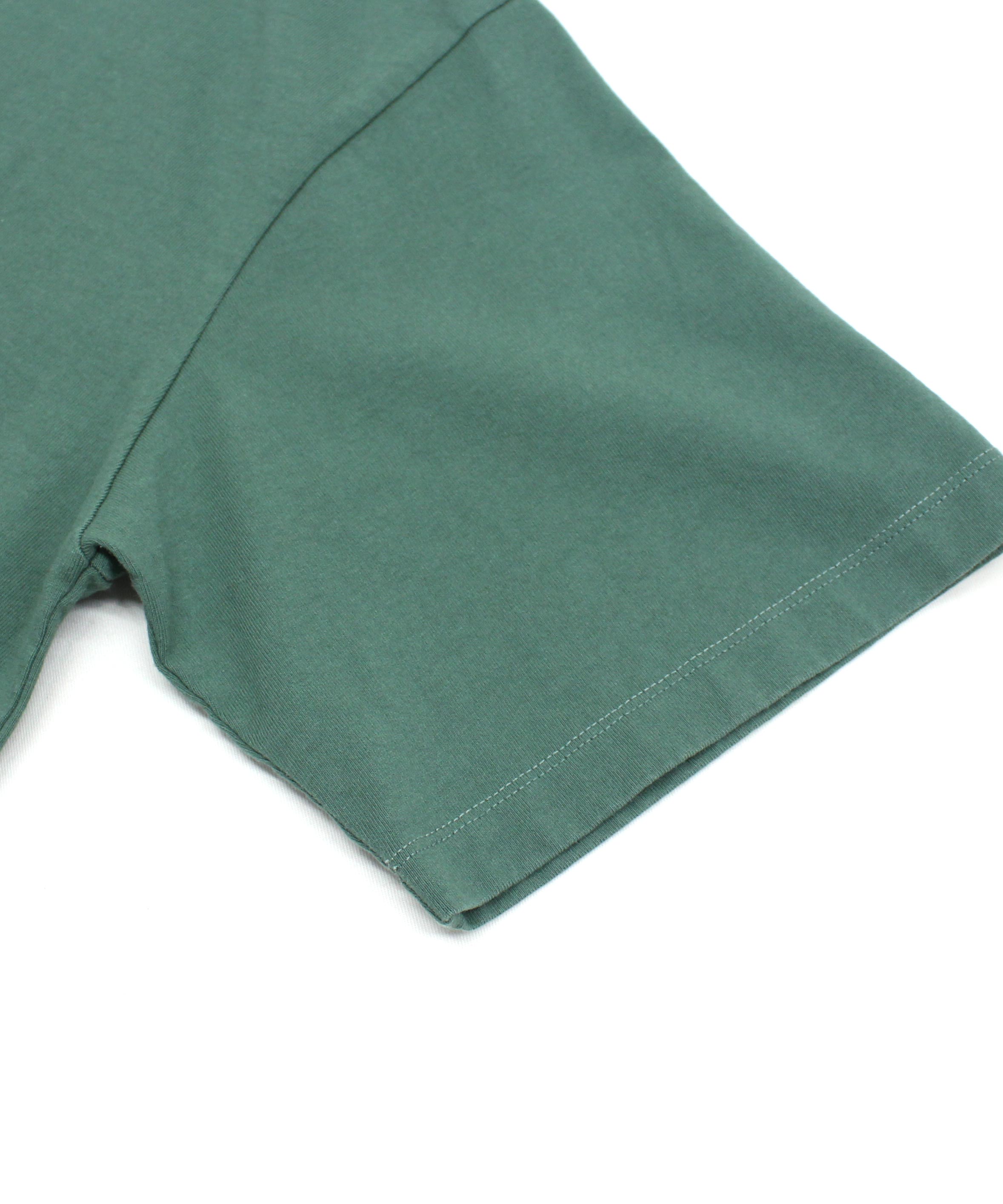 イングリッシュアイビー