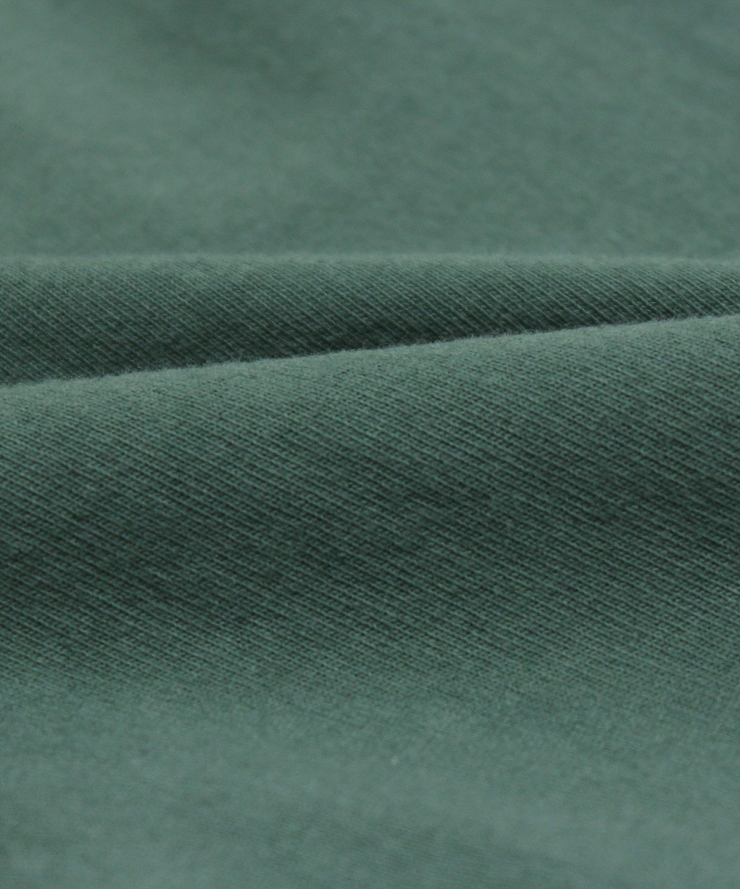 イングリッシュアイビー